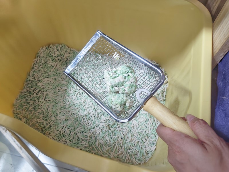 女人知己試用大隊,口碑行銷,部落客行銷,PurreLand 倍淨豆腐貓砂,好市多購買,COSTCO購買,豆腐貓砂,PurreLand倍淨,低粉塵,易清理,可沖馬桶,提供絕佳的除臭與凝結力,豆腐貓砂評價,貓砂評價,使用心得,貓砂分享,好用,原味,綠茶,豆腐砂,水量需完全覆蓋貓砂,水量需貓砂的2~3倍以上,豆腐砂評價,高CP值,划算